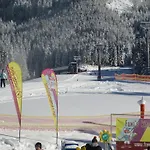 Schwarzenbacher *