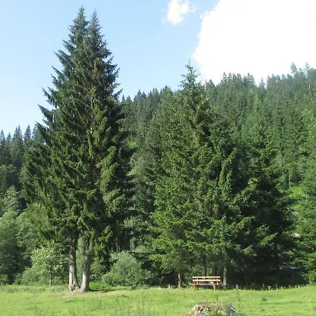 Nyaraló Schwarzenbacher Lungötz