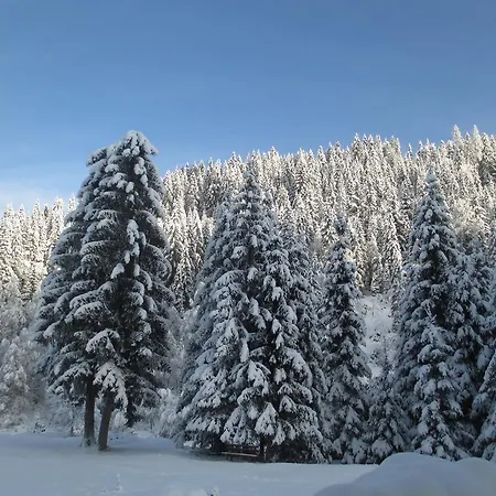 Schwarzenbacher * Lungötz