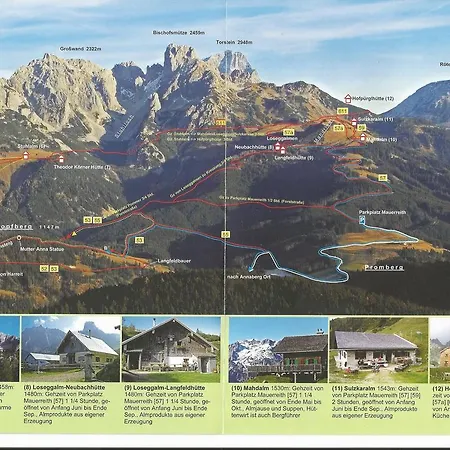Schwarzenbacher *