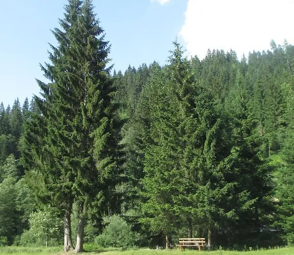 펜션 Schwarzenbacher Lungötz