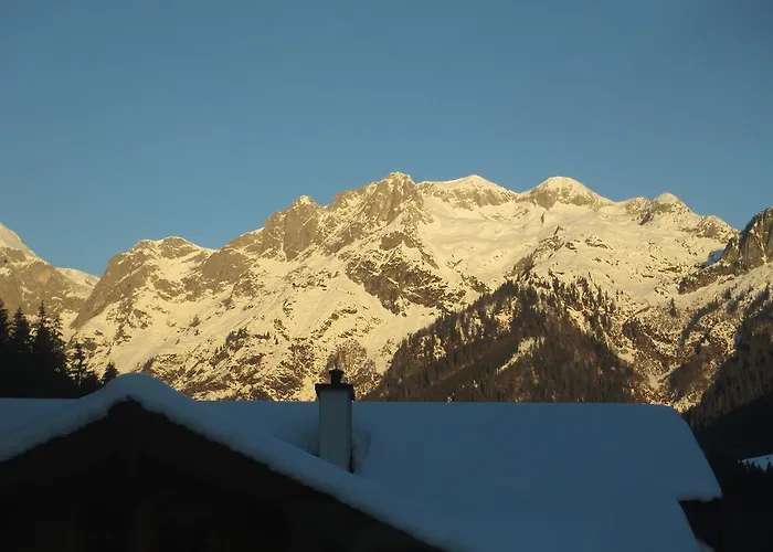 Schwarzenbacher 펜션 *