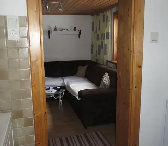 Schwarzenbacher 펜션 *